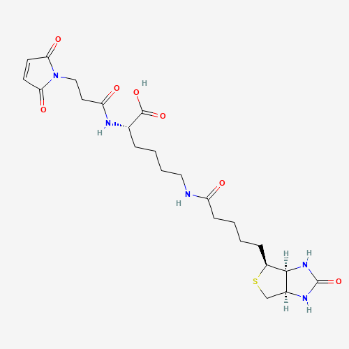 3-(N-Maleimidylpropionyl)biocytin (CAS: 102849-12-7) - Related Chemical Product
