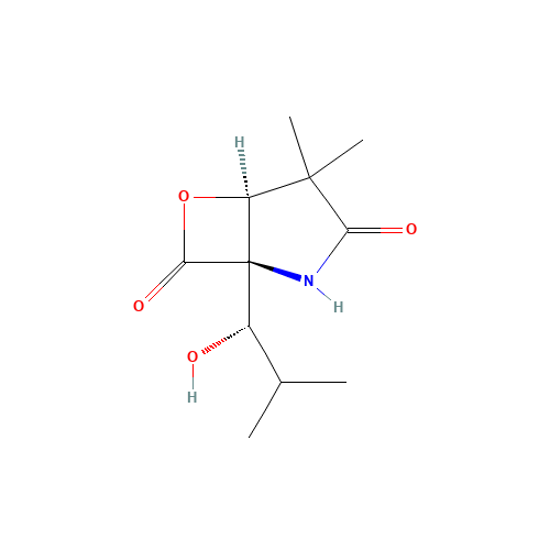 a-Methyl Omuralide (CAS: 215232-00-1) - Chemical Structure and Molecular Formula 