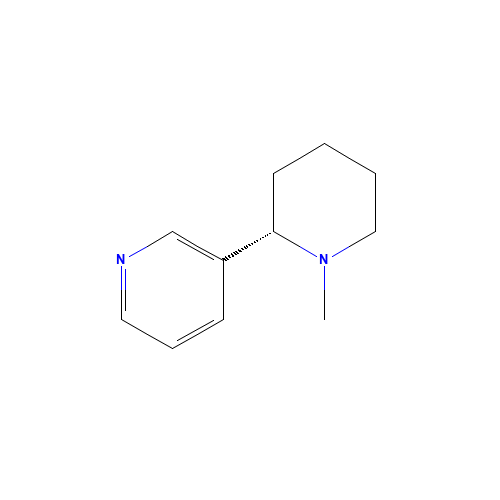 N-Methyl Anabasine (CAS: 24380-92-5) - Related Chemical Product