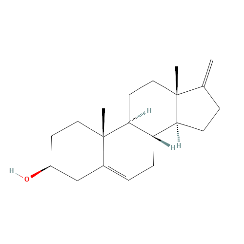 17-Methylene-5-androsten-3b-ol (CAS: 846-44-6) - Related Chemical Product