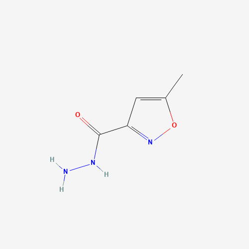 5-Methyl-3-isoxazolecarboxylic Acid Hydrazide (CAS: 62438-03-3) - Related Chemical Product