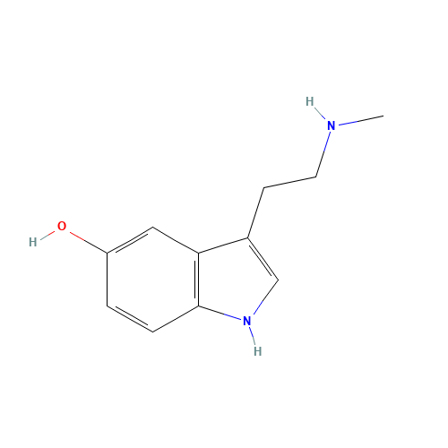 N-Methyl Serotonin (CAS: 1134-01-6) - Related Chemical Product