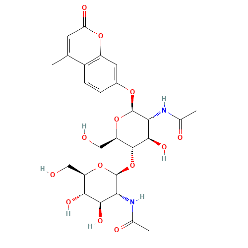 4-Methylumbelliferyl Di-N-Acetyl-b-D-chitobiose (CAS: 53643-12-2) - Related Chemical Product