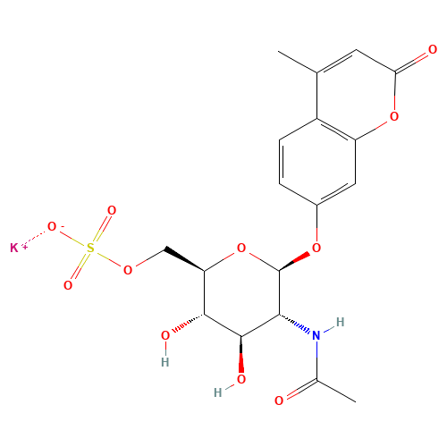 4-Methylumbelliferyl 6-Sulfo-2-acetamido-2-deoxy-b-D-glucopyranoside Potassium Salt (CAS: 210357-38-3) - Related Chemical Product