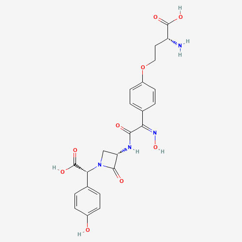 Nocardicin A (CAS: 39391-39-4) - Related Chemical Product