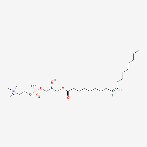1-Oleoyl-sn-glycero-3-phosphocholine (CAS: 19420-56-5) - Related Chemical Product