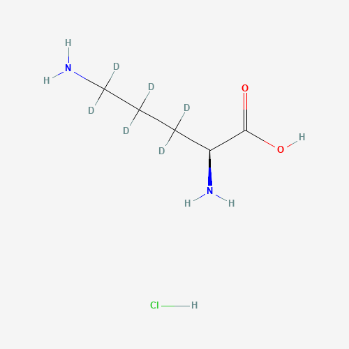 L-Ornithine-d6 Hydrochloride (CAS: 347841-40-1) - Related Chemical Product