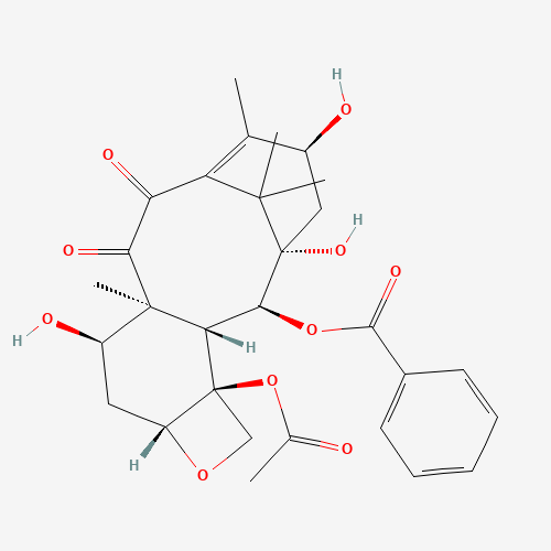 7-epi-10-Oxo-10-deacetyl Baccatin III (CAS: 151636-94-1) - Related Chemical Product
