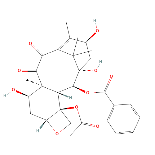7-epi-10-Oxo-10-deacetyl Baccatin III (CAS: 151636-94-1) - Related Chemical Product