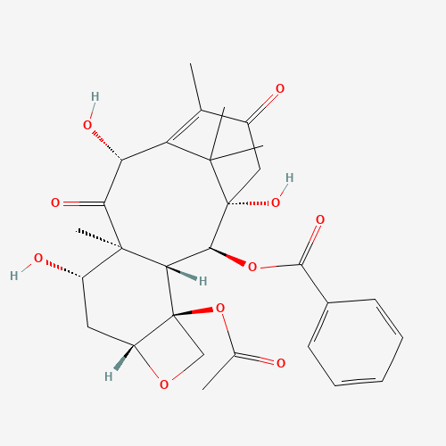 13-Oxo-10-deacetyl Baccatin III (CAS: 92950-42-0) - Related Chemical Product