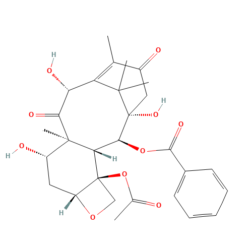 13-Oxo-10-deacetyl Baccatin III (CAS: 92950-42-0) - Related Chemical Product