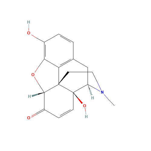 Oxymorphinone (CAS: 41135-98-2) - Related Chemical Product