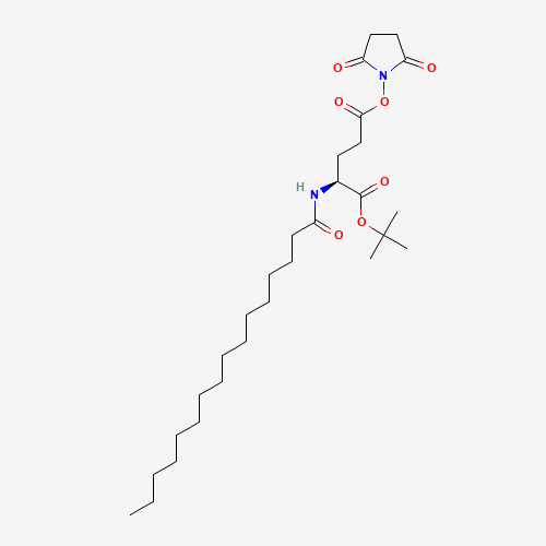 Nε-Palmitoyl-L-glutamic Acid γ-Succinimidyl-a-tert-butyl Ester (CAS: 204521-63-1) - Related Chemical Product