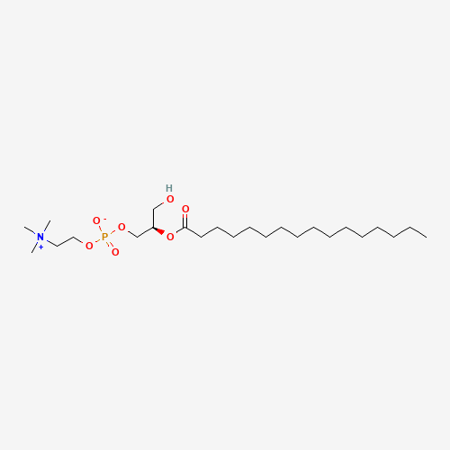 2-Palmitoyl-sn-glycero-3-phosphocholine (CAS: 66757-27-5) - Related Chemical Product