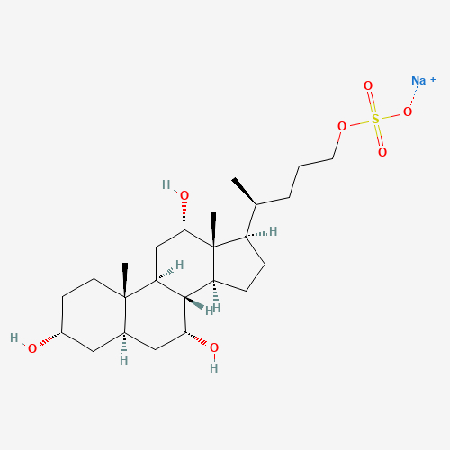 Petromyzonol 24-Sulfate Sodium Salt (CAS: 1271318-61-6) - Related Chemical Product