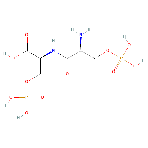 Phosphoseryl Phosphoserine (CAS: 1492-21-3) - Related Chemical Product
