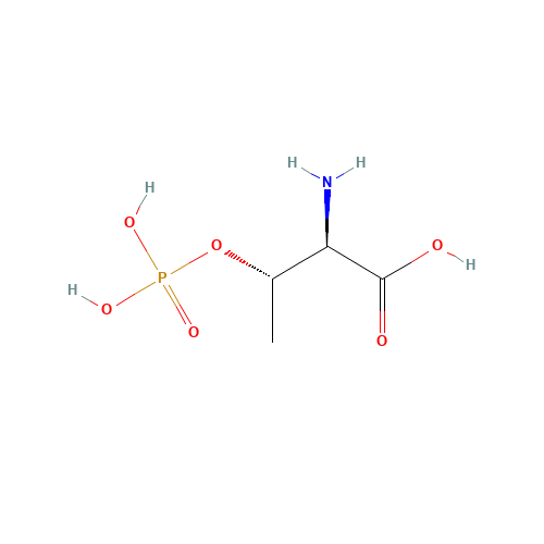 D-O-Phospho Threonine (CAS: 96193-69-0) - Related Chemical Product