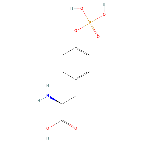 O-Phospho-L-tyrosine (CAS: 21820-51-9) - Related Chemical Product