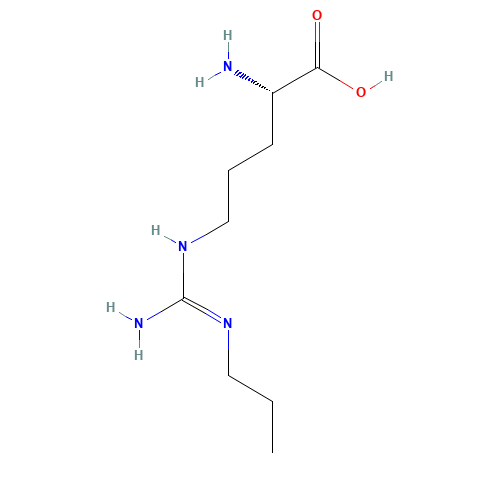 Nω-Propyl-L-Arginine (CAS: 137361-05-8) - Related Chemical Product
