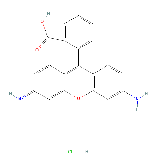 Rhodamine 110 (CAS: 13558-31-1) - Related Chemical Product
