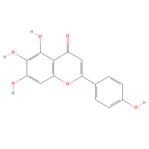 Scutellarein (CAS: 529-53-3) - Related Chemical Product