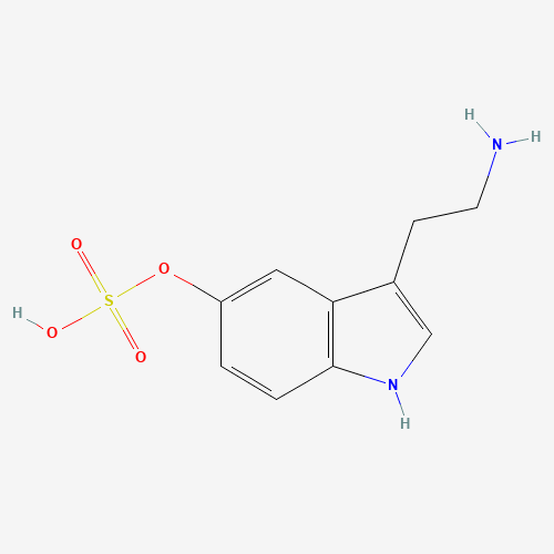 Serotonin O-Sulfate (CAS: 16310-20-6) - Related Chemical Product