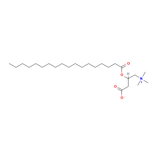 Stearoyl Carnitine (CAS: 1976-27-8) - Related Chemical Product
