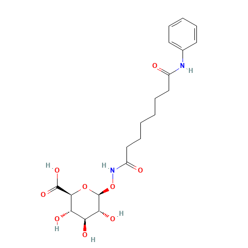 Suberoylanilide Hydroxamic Acid b-D-Glucuronide (CAS: 863456-50-2) - Related Chemical Product