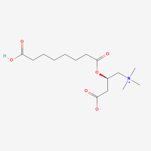 (L)-Suberyl Carnitine (CAS: 102636-81-7) - Related Chemical Product
