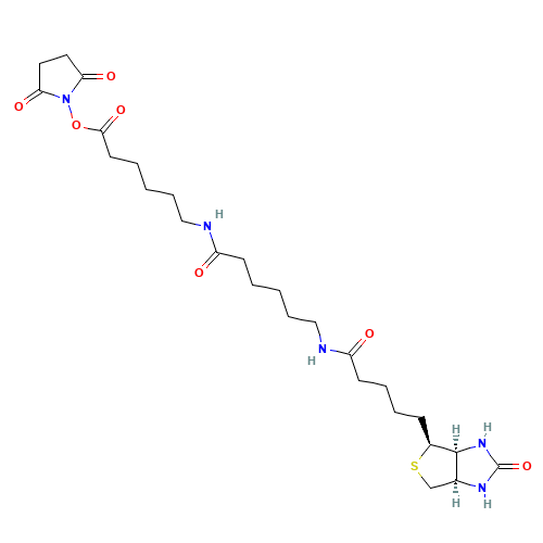Succinimidyl-6-[6-(biotinamido)caproyl]caproylate (CAS: 89889-52-1) - Chemical Structure and Molecular Formula 