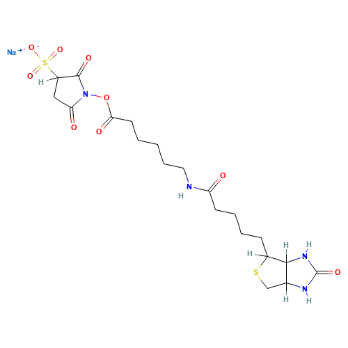 Sulfo-N-succinimidyl 6-(biotinamido) hexanoate Sodium Salt (CAS: 191671-46-2) - Chemical Structure and Molecular Formula 