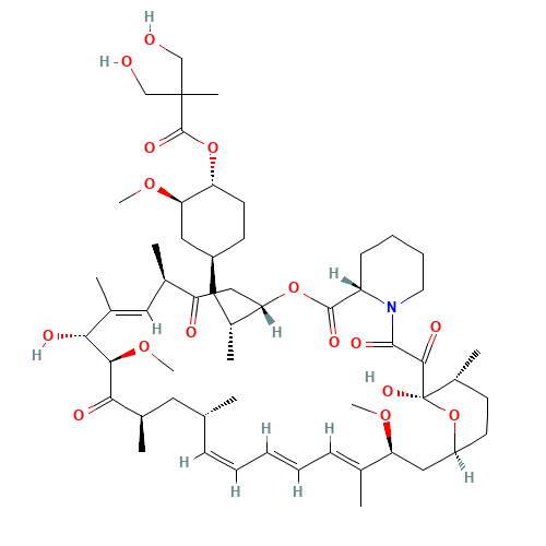Temsirolimus (~90%) (CAS: 162635-04-3) - Related Chemical Product