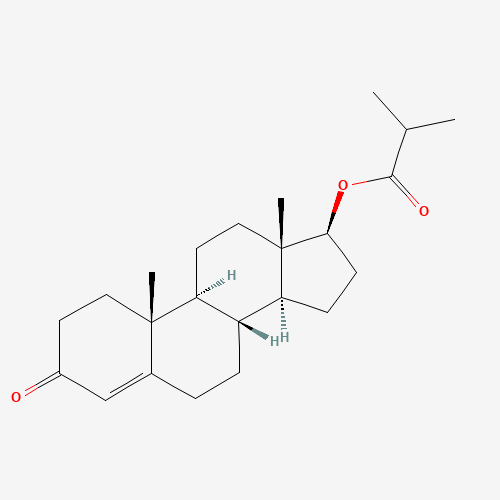 Testosterone 17-Isobutyrate (CAS: 1169-49-9) - Related Chemical Product