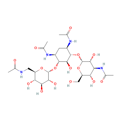 Tetra-N-acetyl Kanamycin A (CAS: 20399-23-9) - Related Chemical Product