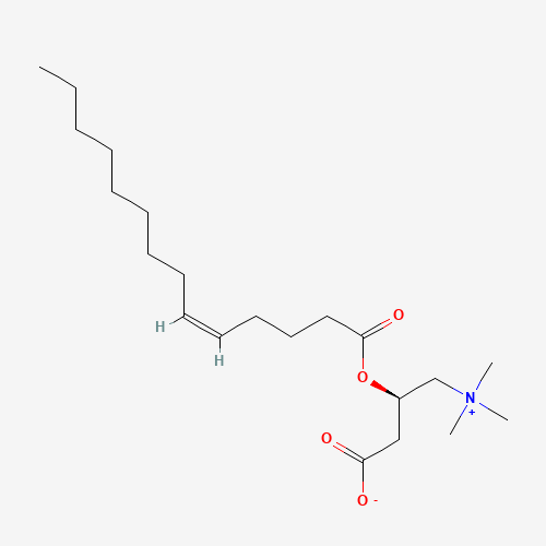 5-cis-Tetradecenoyl Carnitine (CAS: 1186416-86-3) - Chemical Structure and Molecular Formula 