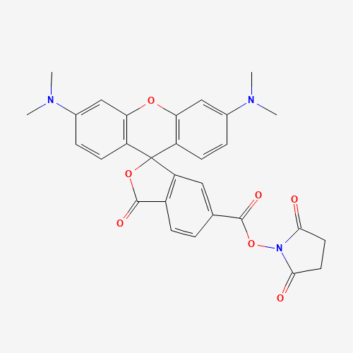2-(6-Tetramethylrhodamine)carboxylic Acid N-Hydroxysuccinimide Ester (CAS: 1027512-41-9) - Related Chemical Product