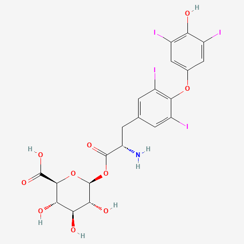 Thyroxine Acyl-b-D-Glucuronide (CAS: 909880-81-5) - Related Chemical Product