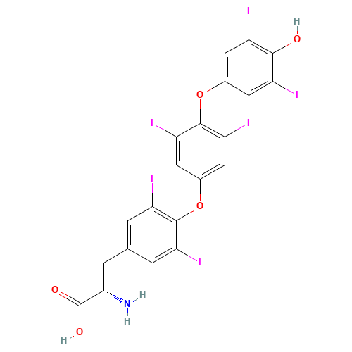 Thyroxine-4-hydroxy-3,5-diiodophenyl Ether (CAS: 911661-90-0) - Related Chemical Product