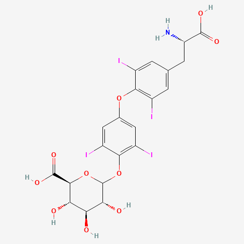 Thyroxine 4'-O-b-D-Glucuronide (CAS: 21462-56-6) - Related Chemical Product