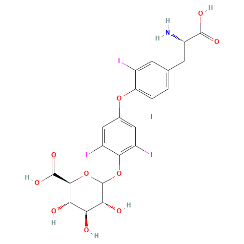 Thyroxine 4'-O-b-D-Glucuronide (CAS: 21462-56-6) - Related Chemical Product