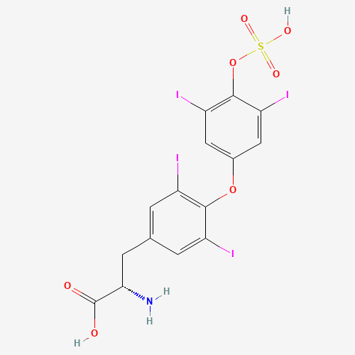 Thyroxine 4'-O-Sulfate (CAS: 77074-49-8) - Related Chemical Product