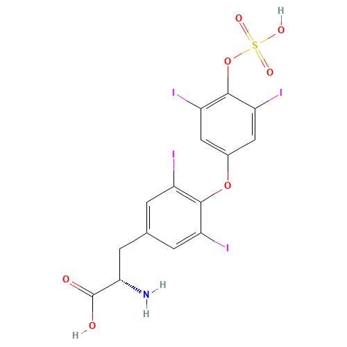 Thyroxine 4'-O-Sulfate (CAS: 77074-49-8) - Related Chemical Product