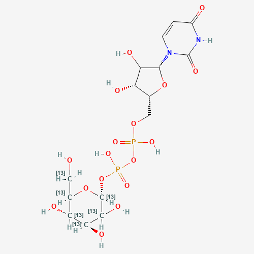 Uridine 5'-Diphospho-a-D-glucose-13C6 Diammonium Salt (CAS: 904293-00-1) - Related Chemical Product