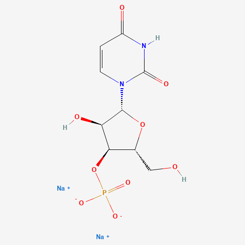 Uridine 3'-Monophosphate Disodium Salt (CAS: 35170-03-7) - Related Chemical Product
