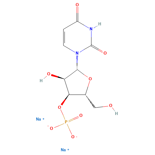 Uridine 3'-Monophosphate Disodium Salt (CAS: 35170-03-7) - Related Chemical Product