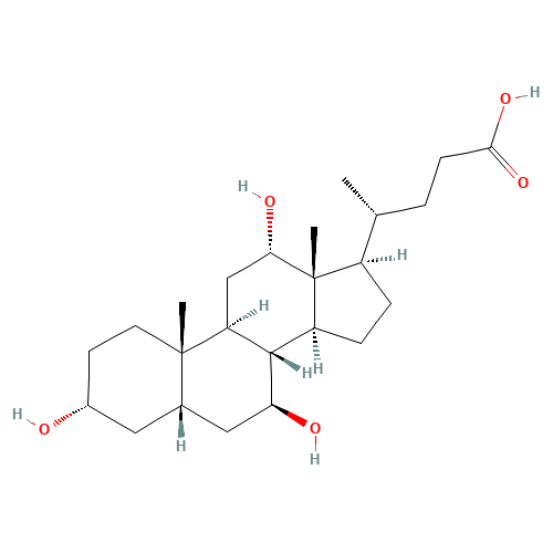 Ursocholic Acid (CAS: 2955-27-3) - Related Chemical Product