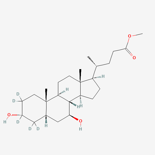 Ursodeoxycholic Acid-d5 Methyl Ester (CAS: 93701-19-0) - Related Chemical Product