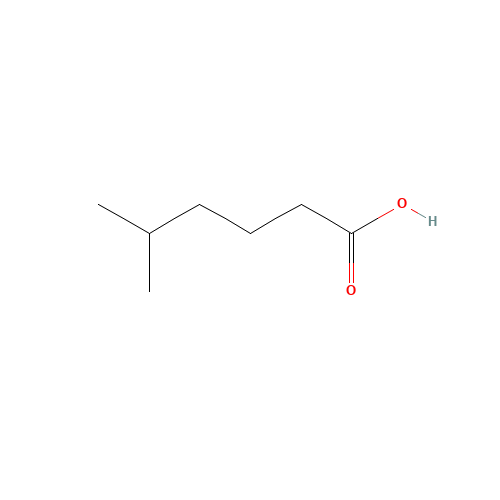 5-Methylhexanoic acid (CAS: 628-46-6) - Chemical Structure and Molecular Formula 