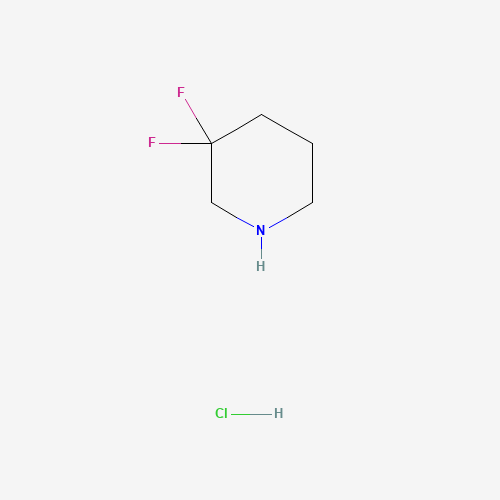 3,3-Difluoropiperidine hydrochloride (CAS: 496807-97-7) - Chemical Structure and Molecular Formula 