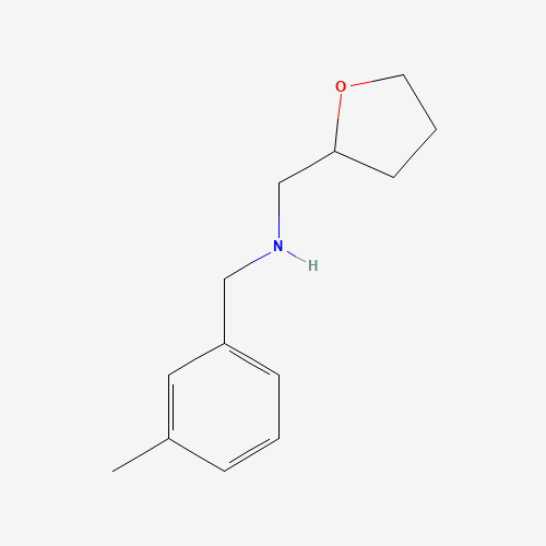(3-Methyl-benzyl)-(tetrahydro-furan-2-ylmethyl)-amine (CAS: 356530-65-9) - Related Chemical Product